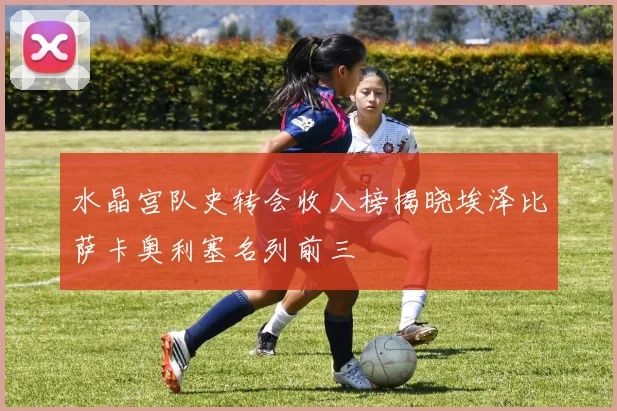水晶宫队史转会收入榜揭晓埃泽比萨卡奥利塞名列前三